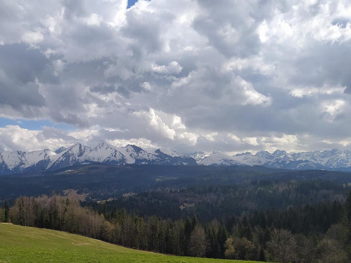 Familiowka Villa Mizerna Екстериор снимка