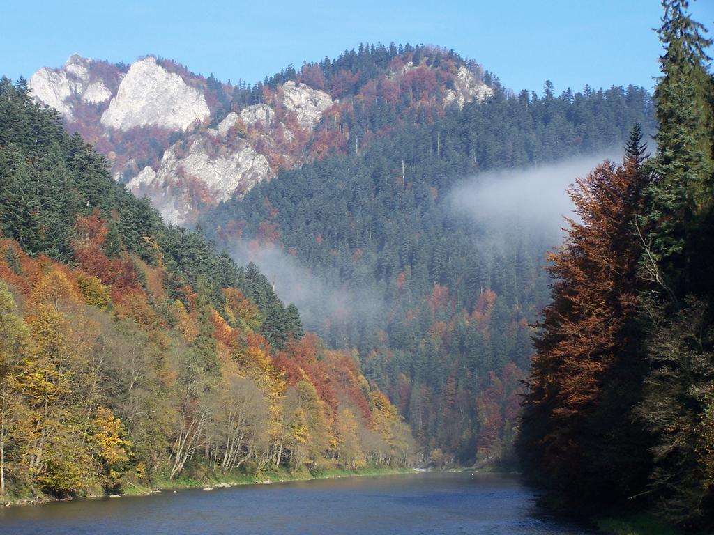 Familiowka Villa Mizerna Екстериор снимка