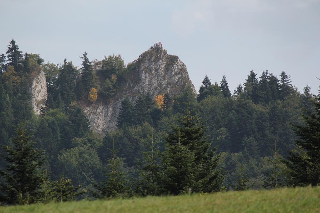 Familiowka Villa Mizerna Екстериор снимка